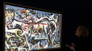 Pollock bajo la influencia de Picasso y de los muralistas mexicanos en una exposición en París