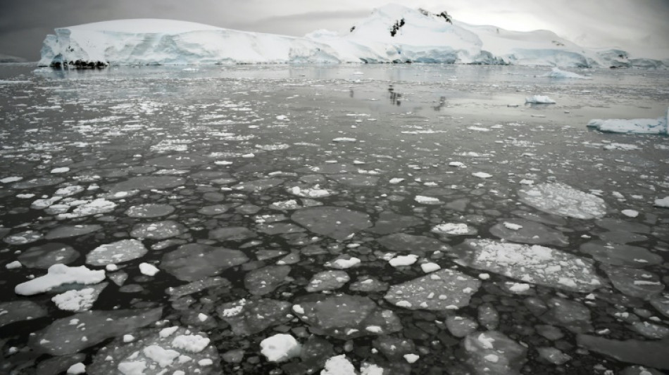 La banquisa antártica se redujo en niveles récord en julio