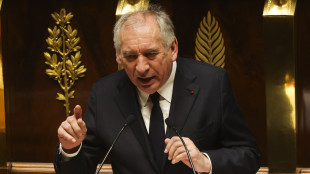 Francia, i socialisti non voteranno la sfiducia a Bayrou