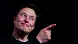 Musk will in sechs Monaten Gehirn-Computerchips beim Menschen implantieren