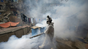 Con brigadas sanitarias, Perú busca controlar dengue que deja 79 muertos y 73.000 contagios