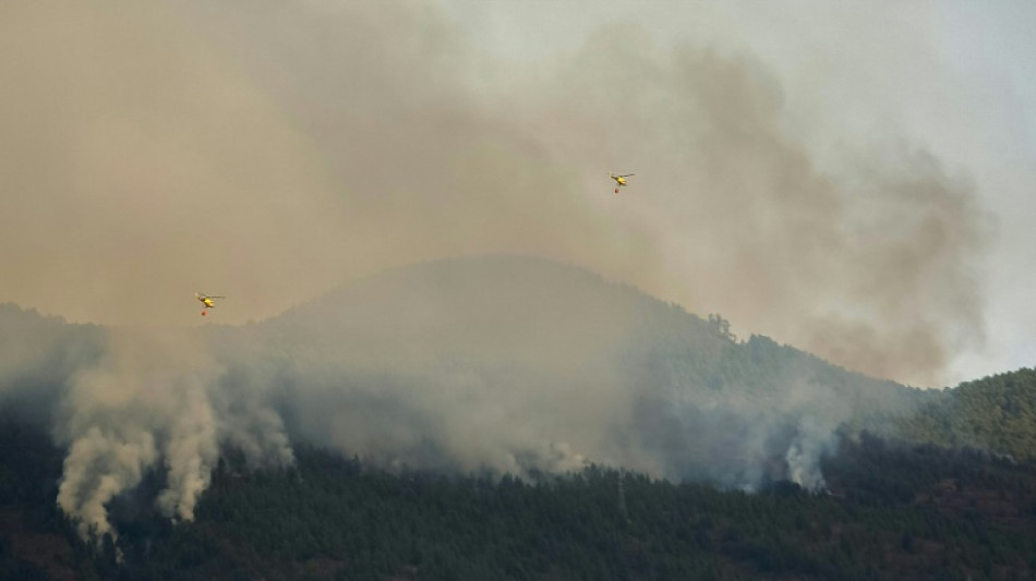 El incendio en Tenerife empieza a normalizarse tras quemar casi 4.000 hectáreas