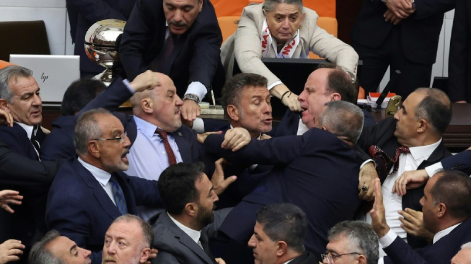 Brawl in Turkish parliament over ousted MP 