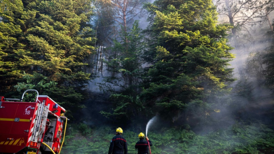 Incendie en cours dans les Vosges, les flammes "progressent doucement"