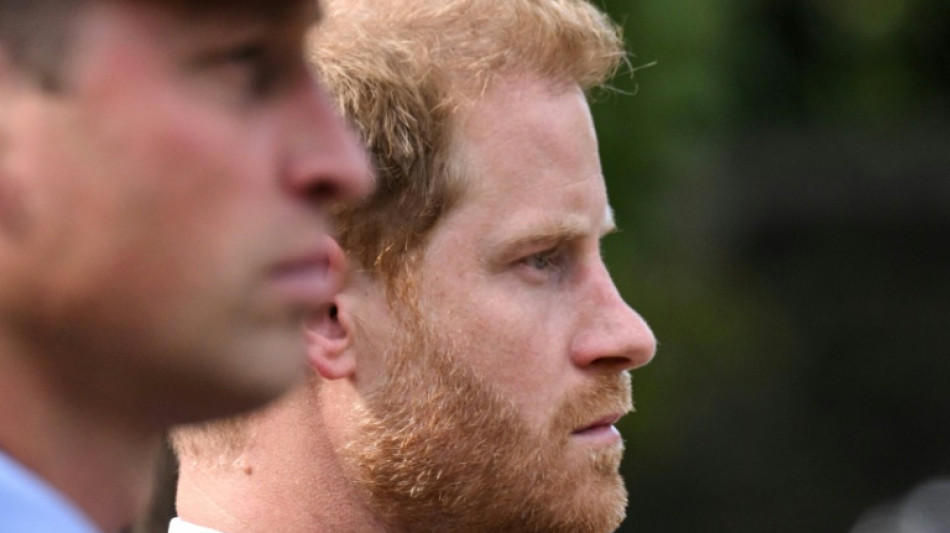 Le prince Harry accuse son frère William de l'avoir attaqué physiquement en 2019 (média)