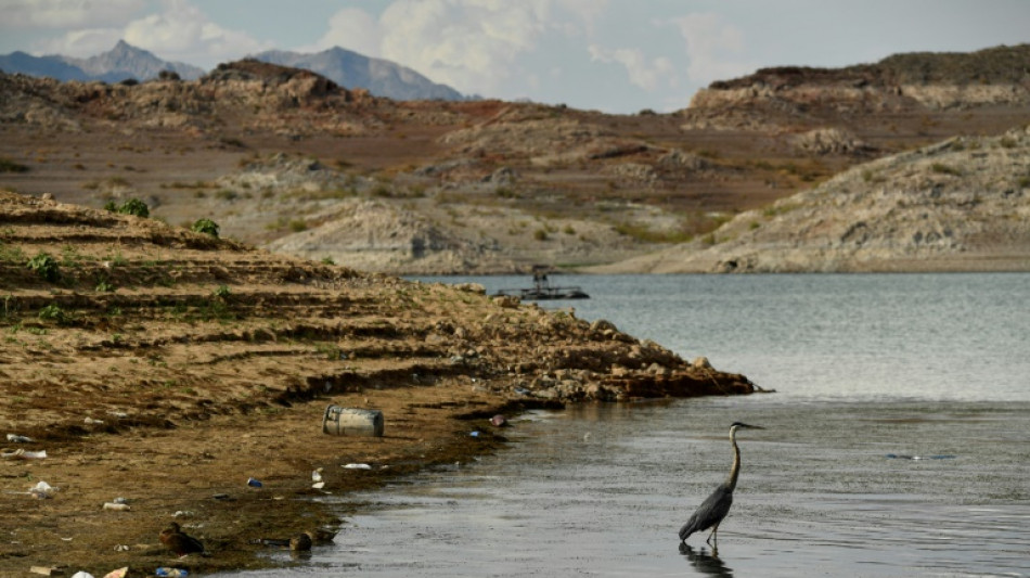 Aux Etats-Unis, les négociations autour du partage du fleuve Colorado s'enlisent