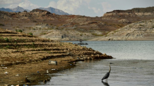 Sécheresse: Washington réduit les quotas d'eau pour certains Etats et le Mexique