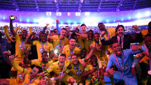 Coupe de France: la belle soirée de Nantes