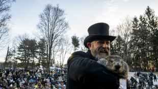 Marmot death overshadows Canada Groundhog Day