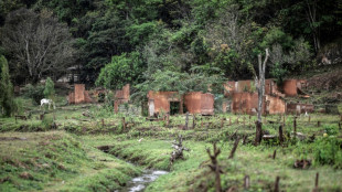 Damnificados del desastre ambiental de Brasil esperan "justicia" en un proceso en Londres