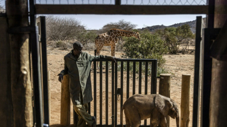 Washington soutient un fonds pour des safaris respectueux de l'environnement en Afrique