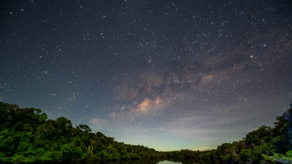 Race to find Brazil Amazon species before they disappear