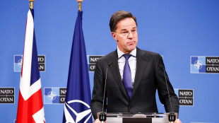 Rutte, 'spesa Nato per la difesa deve salire oltre il 3%'