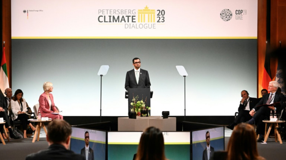 El presidente de la COP28 insta a triplicar la capacidad de energías renovables para 2030