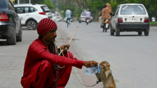 Monkey business in Pakistan court during smuggling case