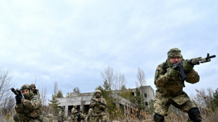 Ukraine urges West to back 'shield' against Russia after invasion warning