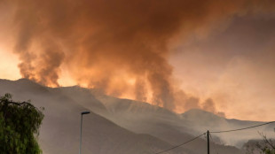 Thousands flee wildfire on Spain's Tenerife island