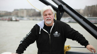 L'écologiste Paul Watson a demandé l'asile politique à la France