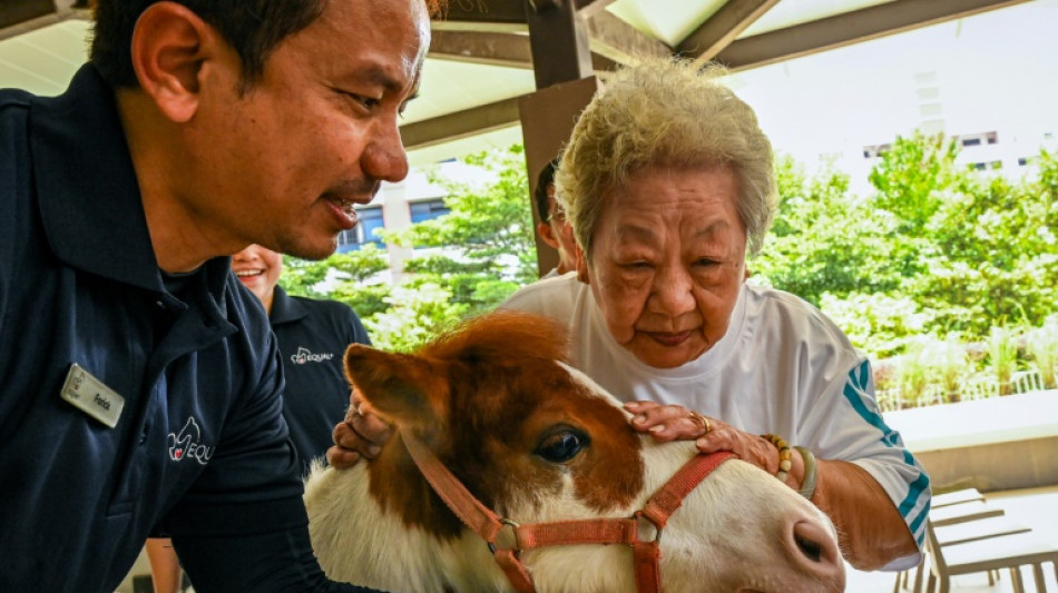 Singapore seniors hoof it to horse therapy