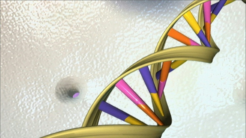 Publicado el primer "pangenoma" humano, llave para el tratamiento de enfermedades raras