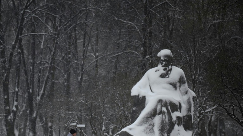 Tolstoy's descendants in family saga over Russian peace prize