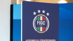 Statuto Figc, assemblea approva le proposte Gravina