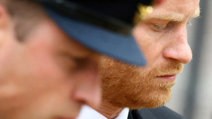 Prince Harry faces growing of criticism over memoir revelations