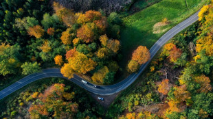 Wetterdienst meldet drittwärmsten Herbst seit Beginn systematischer Messungen