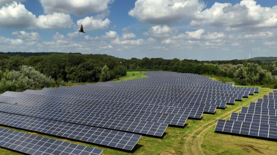 Anteil erneuerbarer Energien am Strommix erreicht 2024 neuen Rekordwert