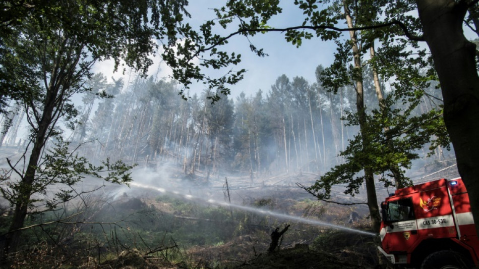 Feuerwehr kämpft weiter gegen Waldbrände in Ostdeutschland