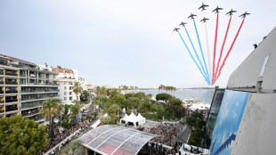 Ukraine film-makers horrified by Top Gun jet display at Cannes