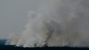 Feuerwehr macht Fortschritte bei Löschen von Großbrand in Berliner Grunewald