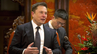 Premier Cina a Musk, 'saremo sempre aperti a imprese straniere'