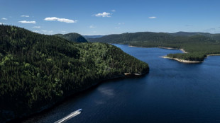 In Canada's boreal forest, one man works to save caribou