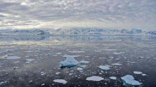 La fonte des glaciers bat des records, alerte l'ONU