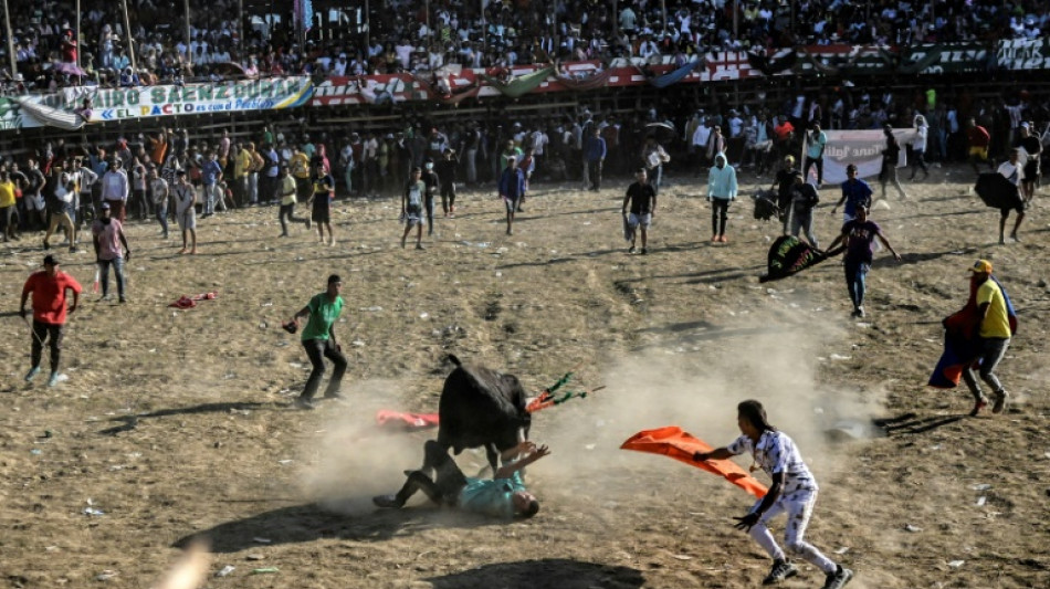 En Colombie, menaces sur les traditionnels jeux taurins