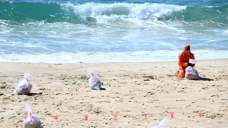 Palle di catrame si riversano su spiagge di Sydney