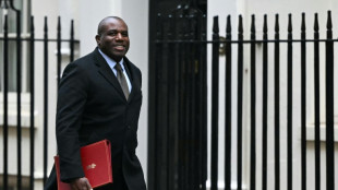 UK FM Lammy refuses to condemn Trump comments on Greenland