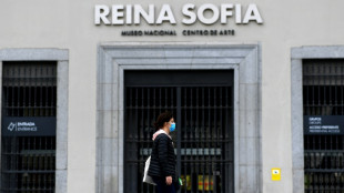 El Museo Reina Sofía cambia el nombre a un ciclo propalestino por su connotación "ofensiva"