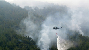 Riesiger Brand in einem der größten Nadelwälder im Libanon ausgebrochen