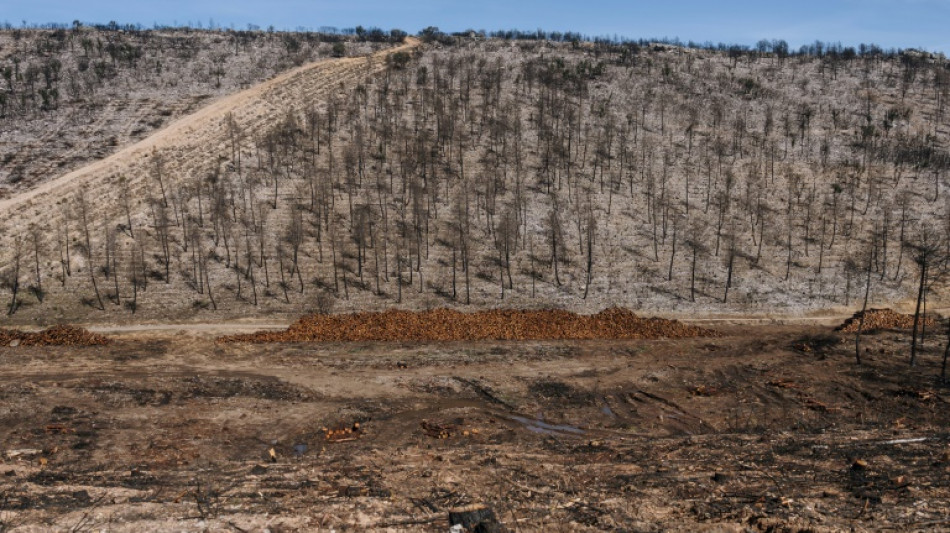 España, ante el vértigo de los incendios forestales gigantescos