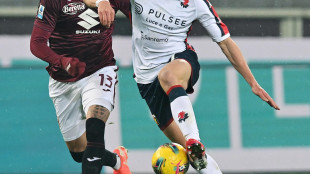 Torino-Genoa 1-1