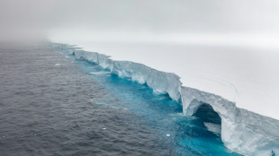 Où le plus grand iceberg du monde finira-t-il sa course?