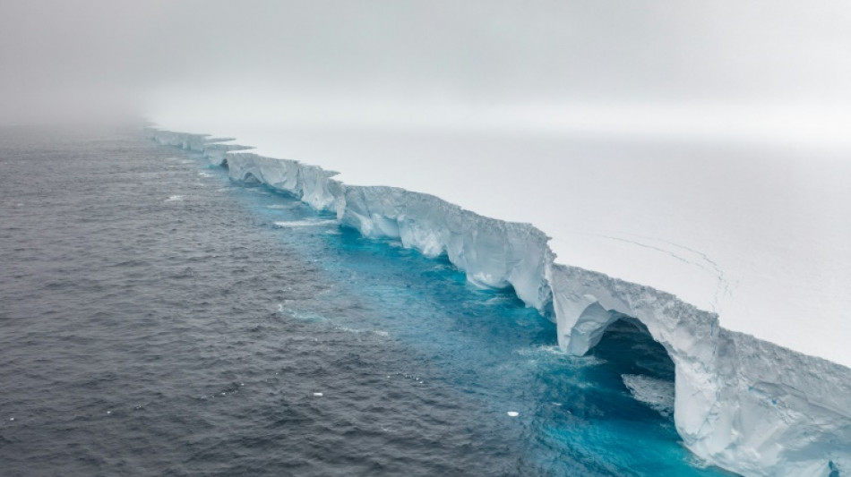 World's biggest iceberg 'battered' by waves as it heads north 