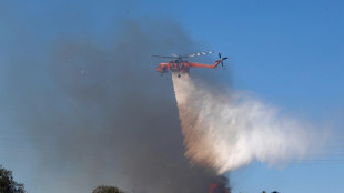 Zorn auf griechischer Insel nach durch Feuerwerk ausgelöstem Waldbrand