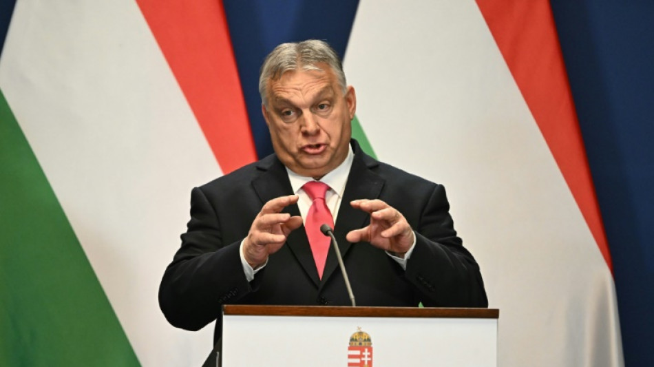 Hungary's 'chilling' foreign influence office starts up