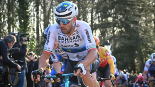 Cyclisme: nouvelles rassurantes pour Colbrelli