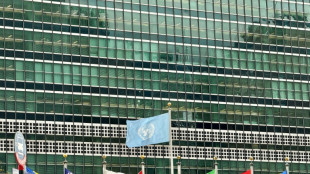 La ONU y 50 estados, preocupados por ataques informáticos contra hospitales