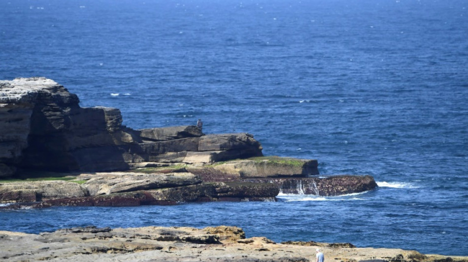 Hunt on for great white shark that killed Sydney swimmer