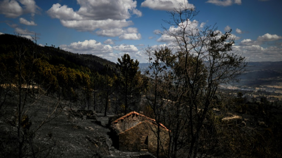 Le Portugal et l'Espagne peinent à venir à bout de plusieurs feux de forêt